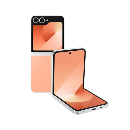 Samsung Galaxy Z Flip6 F741 Recondicionado